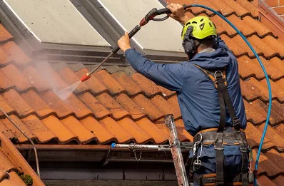 Démoussage et hydrofuge de toiture à Sussac